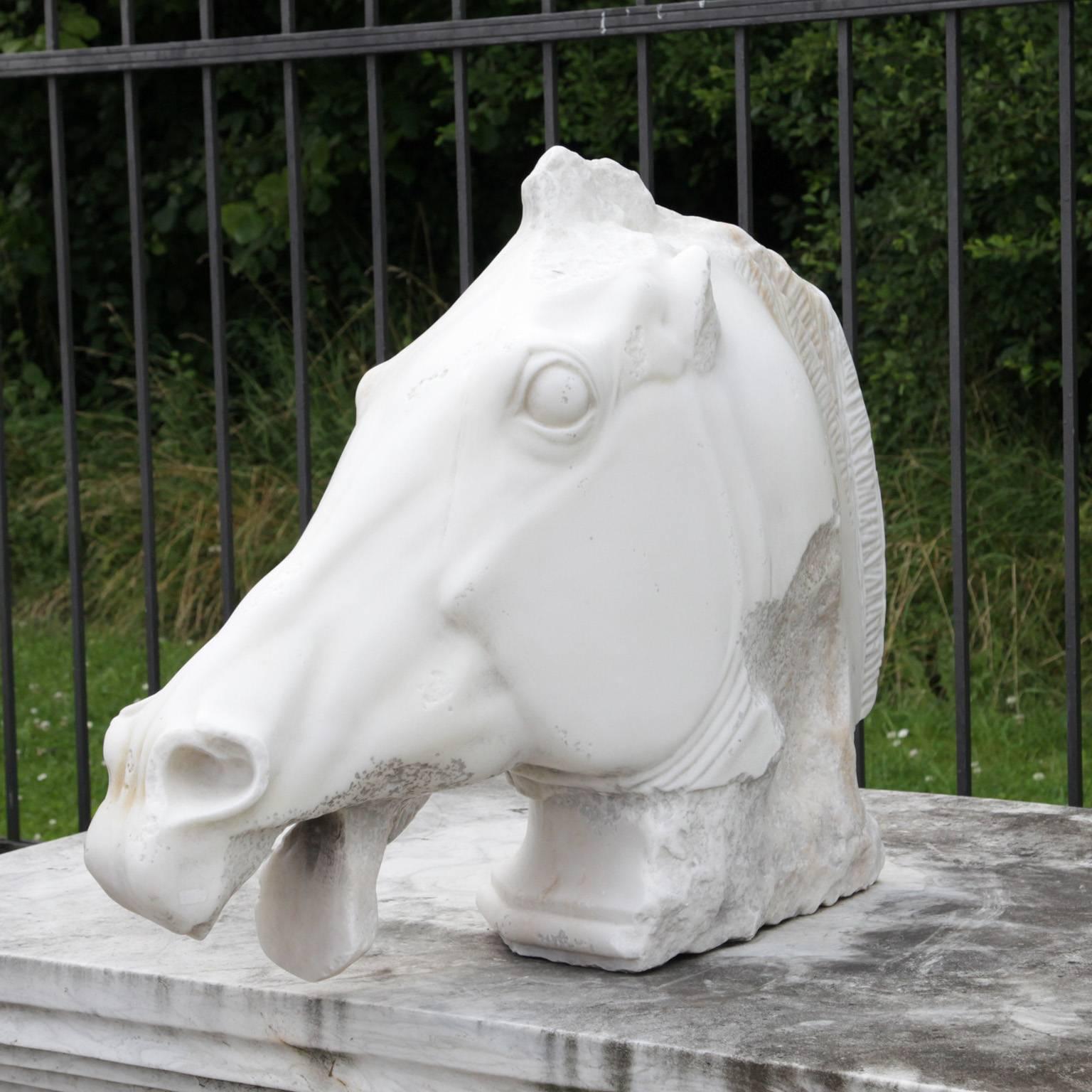 Kopie der Marmorskulptur „Der Kopf des Pferdes von Selene“, 20. Jahrhundert (Klassisch-griechisch) im Angebot