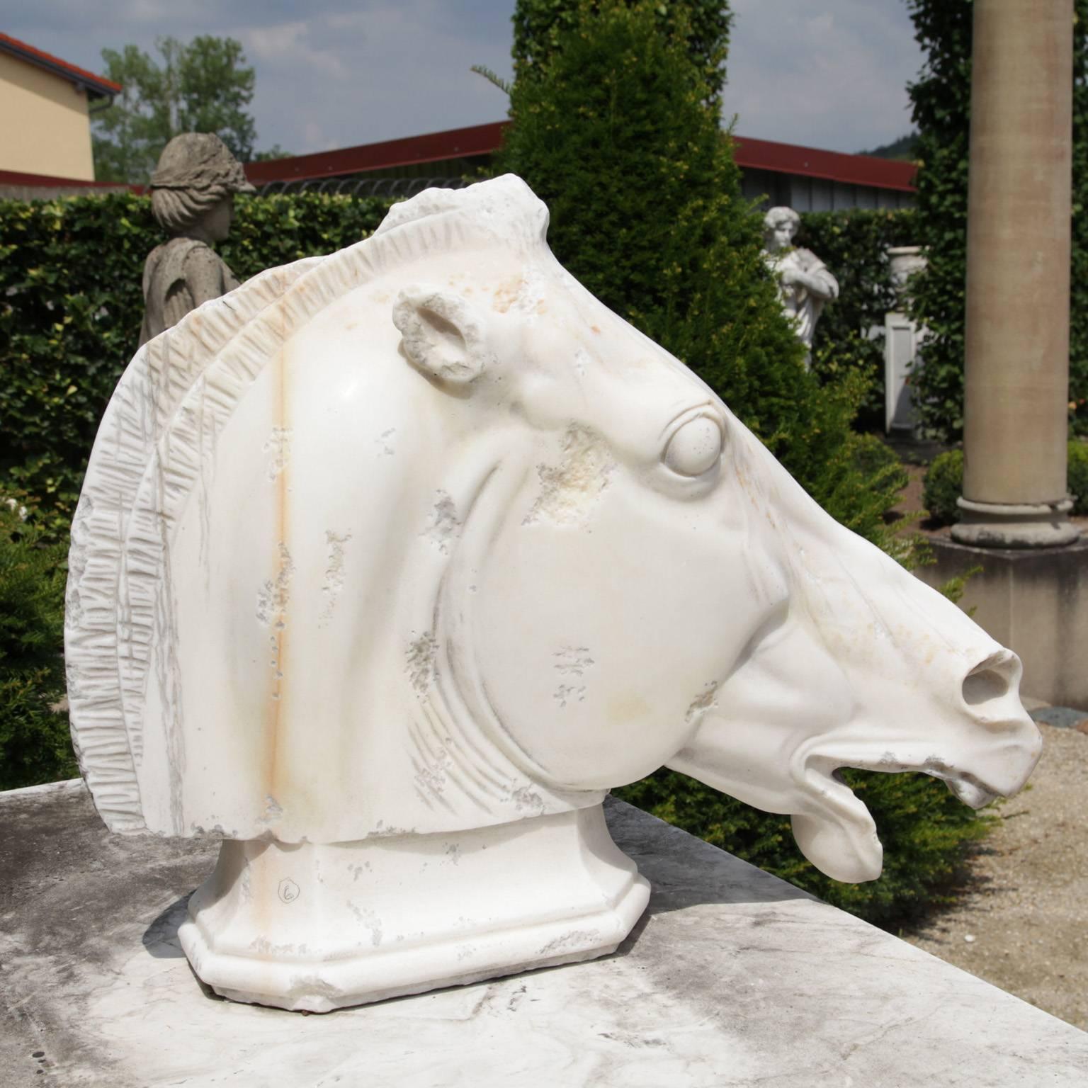 Kopie der Marmorskulptur „Der Kopf des Pferdes von Selene“, 20. Jahrhundert (Handgeschnitzt) im Angebot