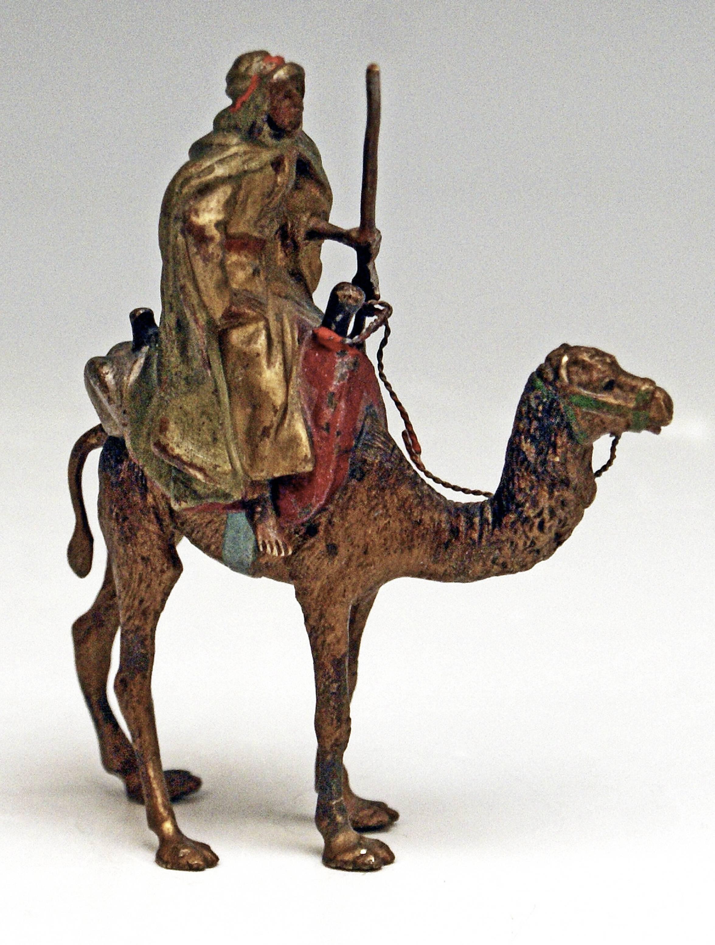 arab on camel
