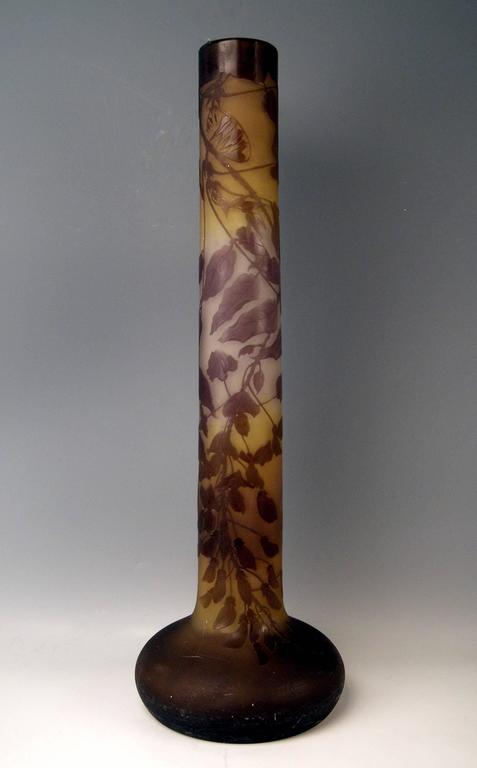 Huge Emile Gallé stalky vase  Decoration: Wysteria attached to branches.
 
Measures:
Height 74.5 cm (= 29.33 inches),
diameter of vase's foot: 21.5 cm (= 8.46 inches), 
diameter of vase's mouth: 8.5 cm (= 3.34 inches), 

Manufactory: Gallé