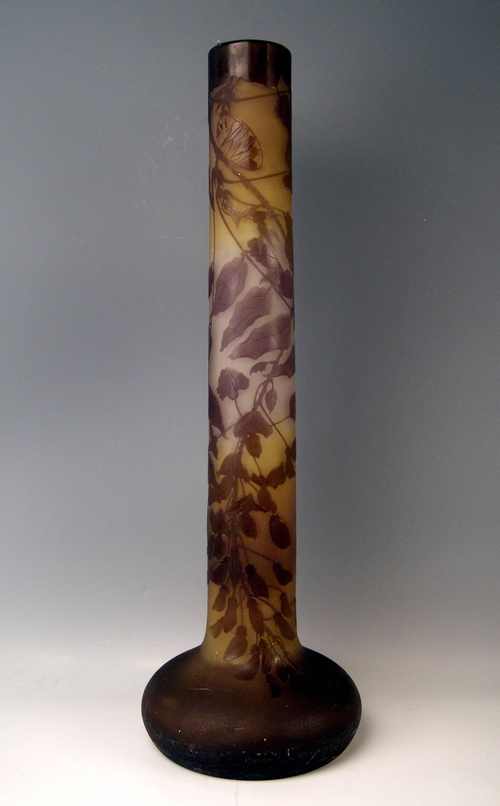 Huge Emile Gallé stalky vase  Decoration: Wysteria attached to branches.
 
Measures:
Height 74.5 cm (= 29.33 inches),
diameter of vase's foot: 21.5 cm (= 8.46 inches), 
diameter of vase's mouth: 8.5 cm (= 3.34 inches), 

Manufactory: Gallé