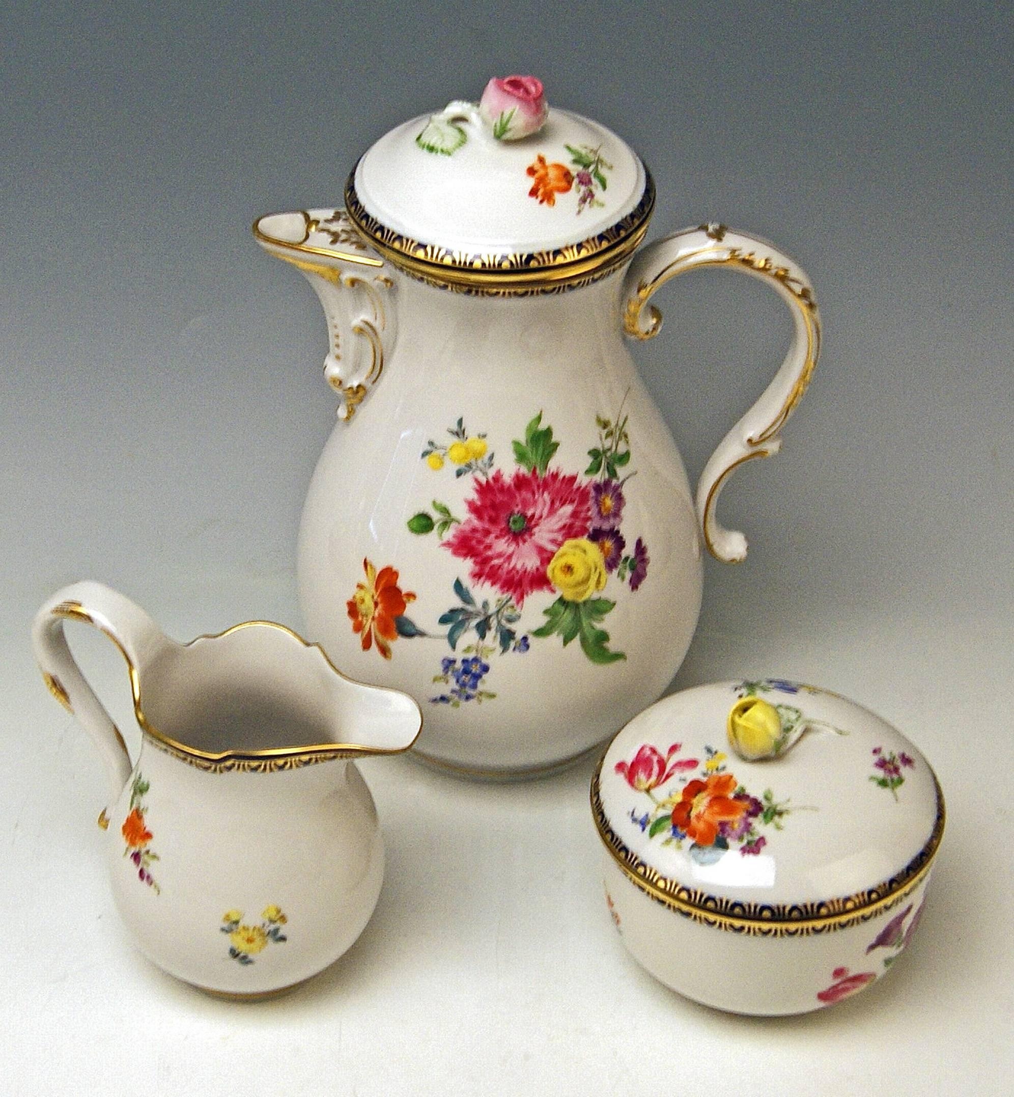 We invite you here to look at a splendid Meissen coffee set for six persons: 

This coffee set is of finest appearance due to gorgeous various multicolored flower paintings (flower bouquets and strewn flowers laid on white porcelain) / the rims