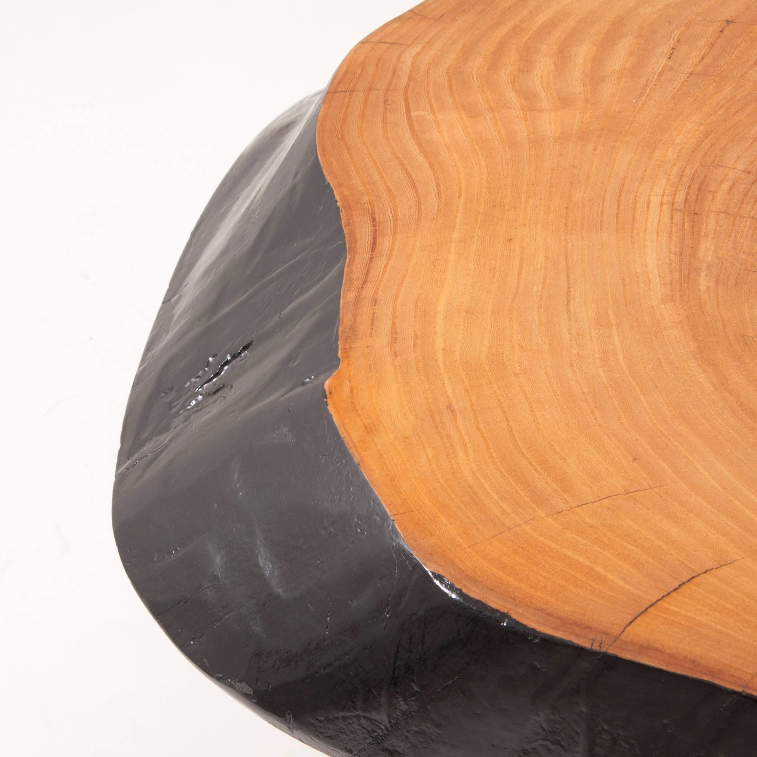 Impressive Maple Tree Trunk Coffee Table in the Style of George Nakashima, 1950s 2