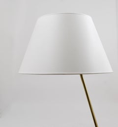 Beautiful Mid-Century Brass Floor Lamp, Austria, 1950s