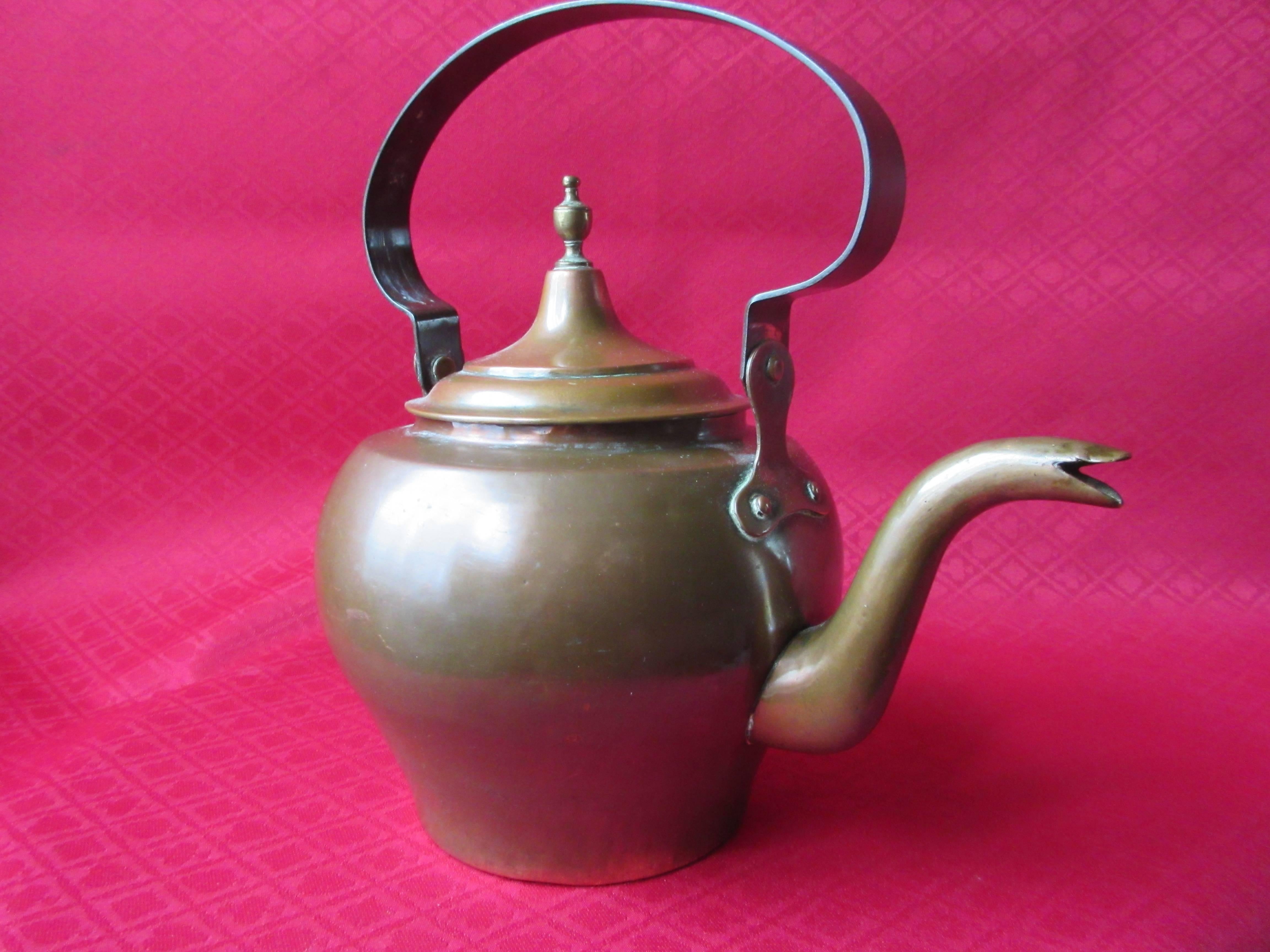 Early 19th Century Dutch Brass Water Kettle with Dragon's Head, circa 1800 For Sale 1