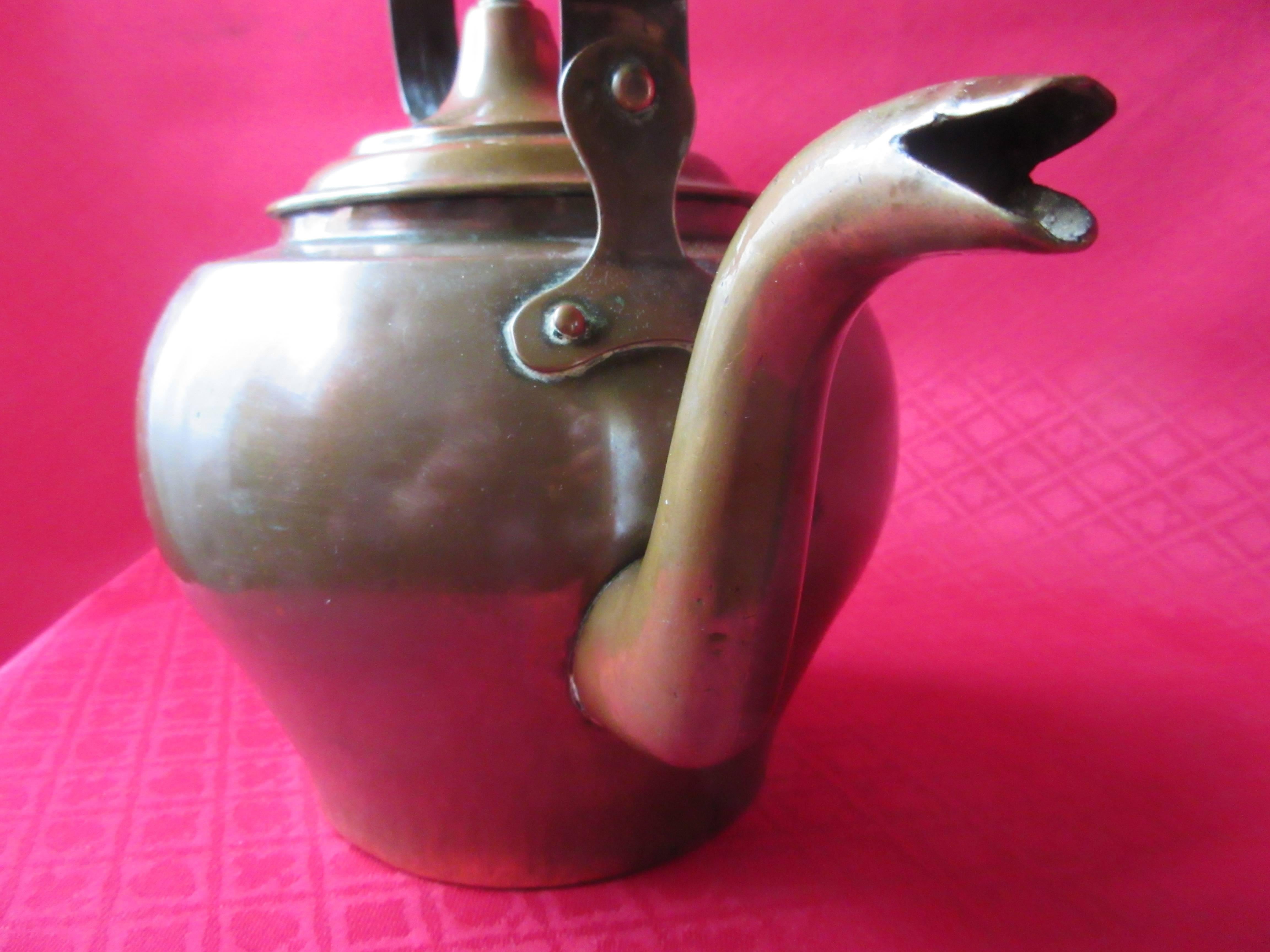 Metalwork Early 19th Century Dutch Brass Water Kettle with Dragon's Head, circa 1800 For Sale