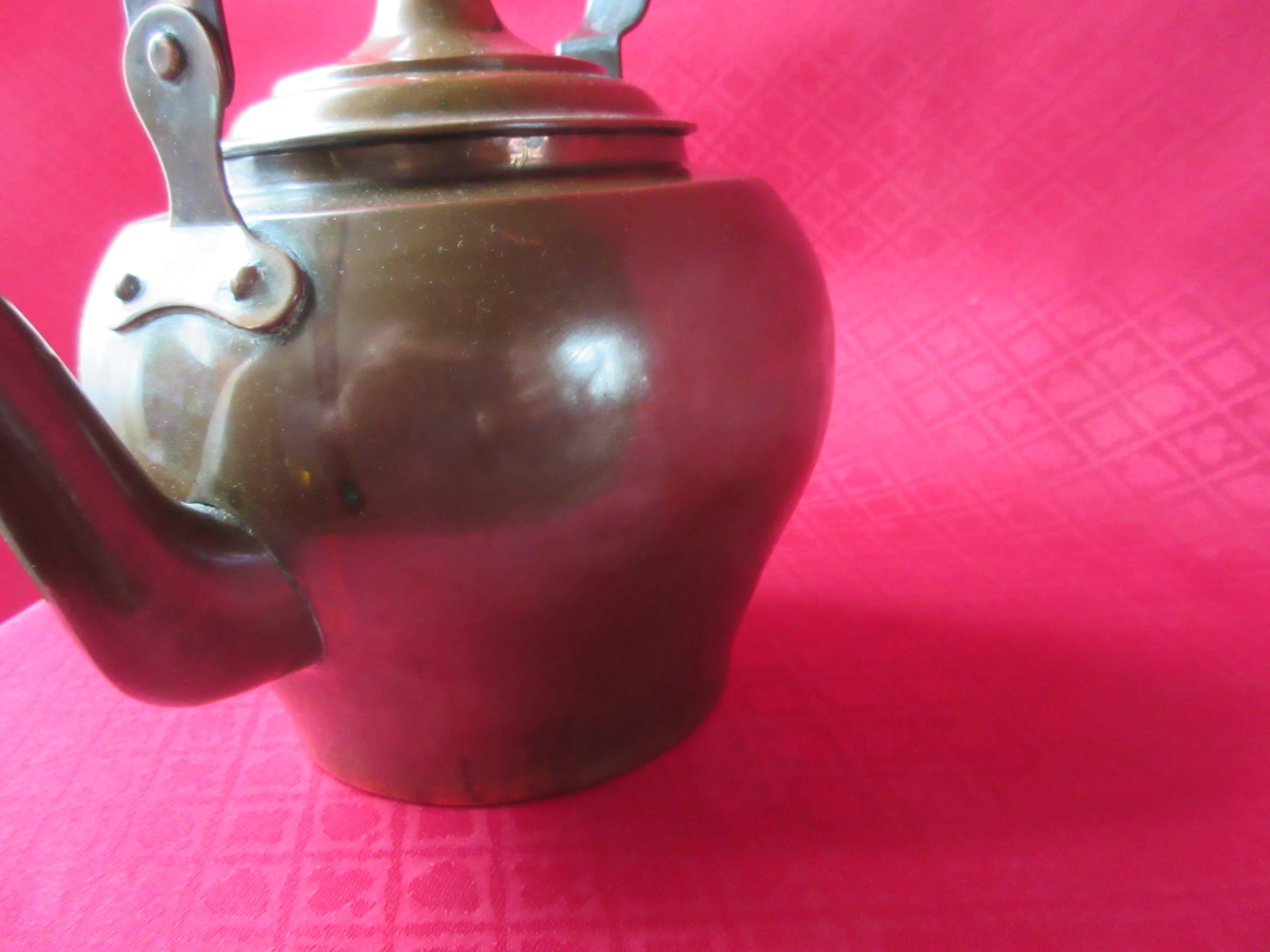 Louis XIV Early 19th Century Dutch Brass Water Kettle with Dragon's Head, circa 1800 For Sale