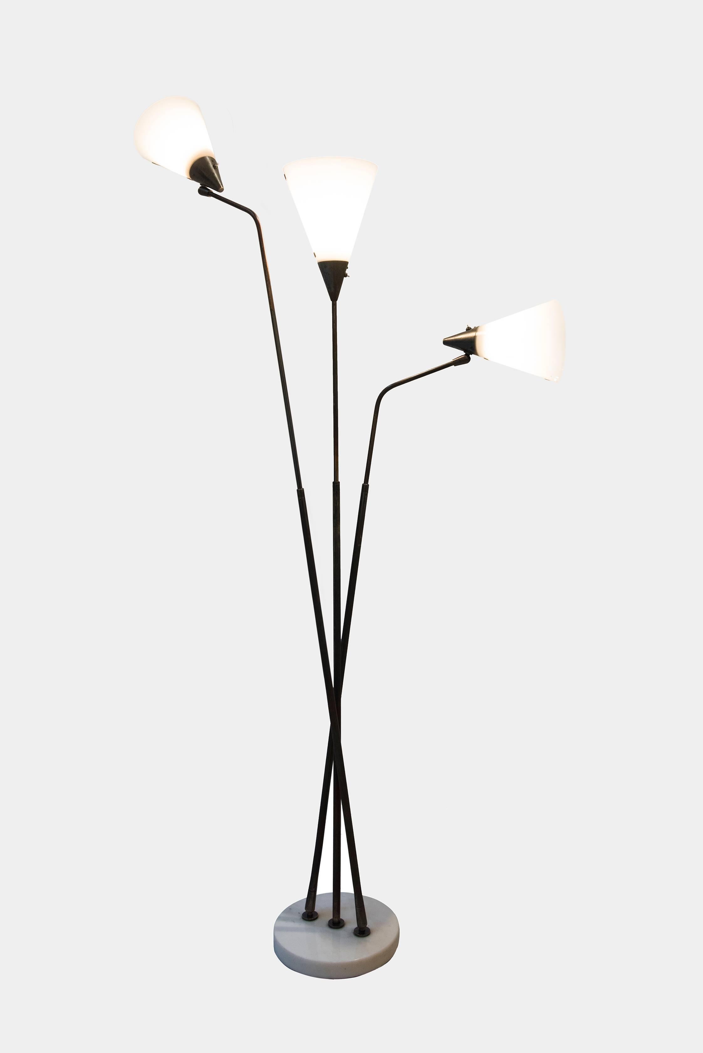 Anodized Giuseppe Ostuni, 1950, Floor Lamp for Oluce For Sale