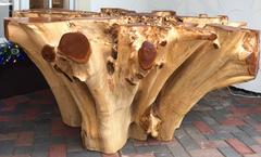 Giant Ancient Teak Root Table Base