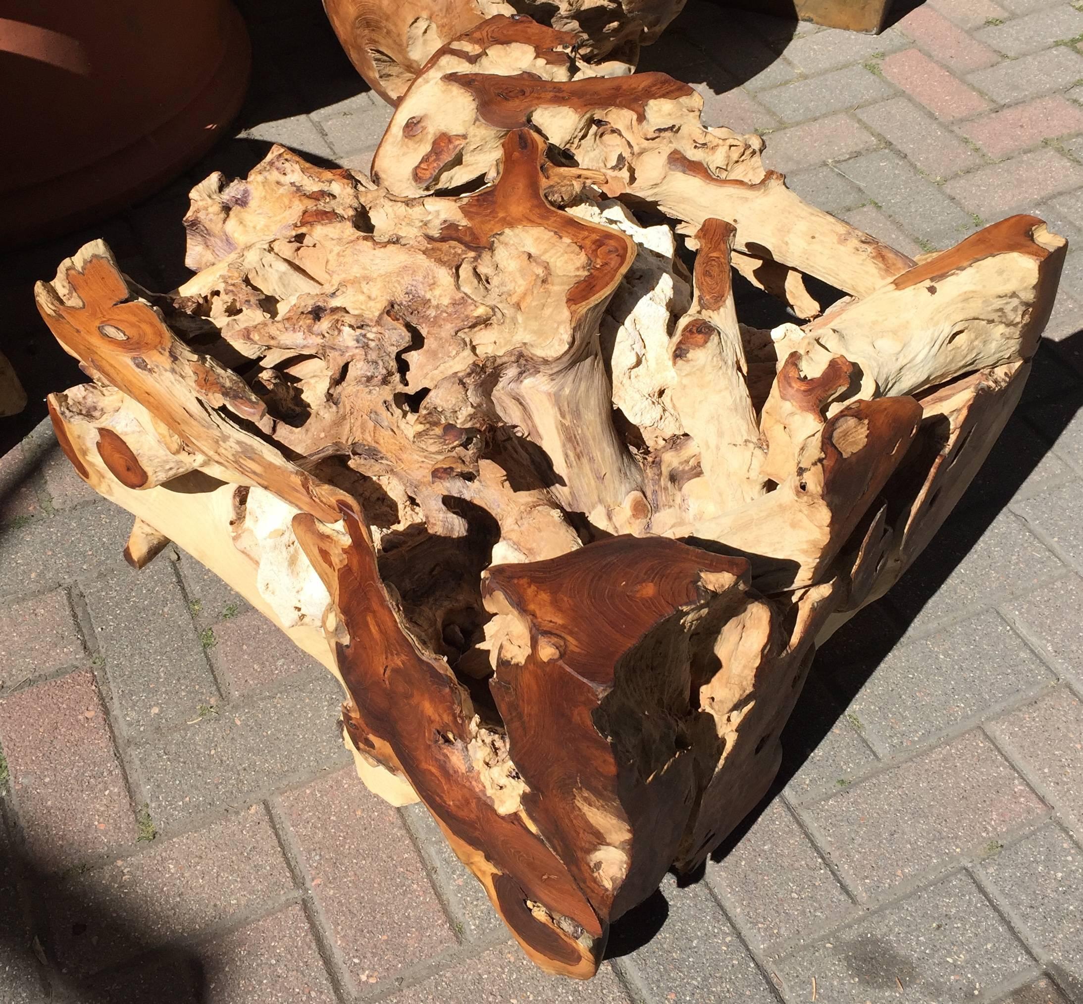 Cut from the root ball of teak in Bali.