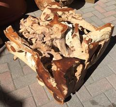 Ancient Teak Root Coffee Table with Coral