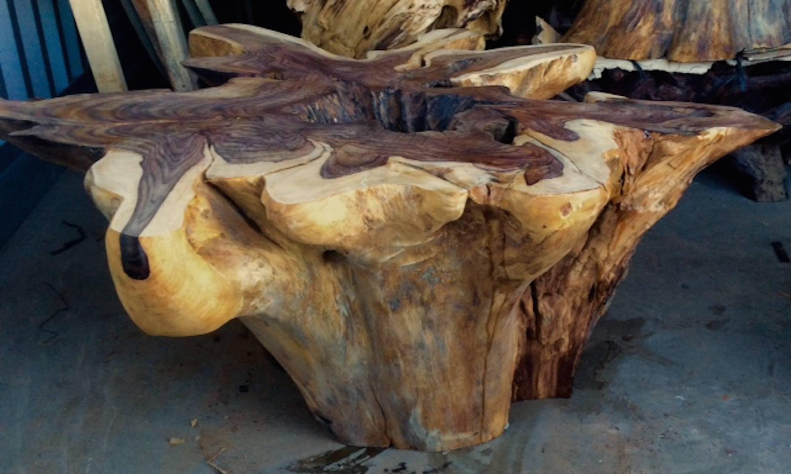 Beautiful section of wood, roughly 47" in diameter. Add any shape and size glass top.