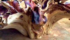 One of a Kind Ancient Rosewood Root Table Base