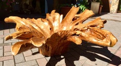 Substantial Vintage Cypress Wood Root Bowl