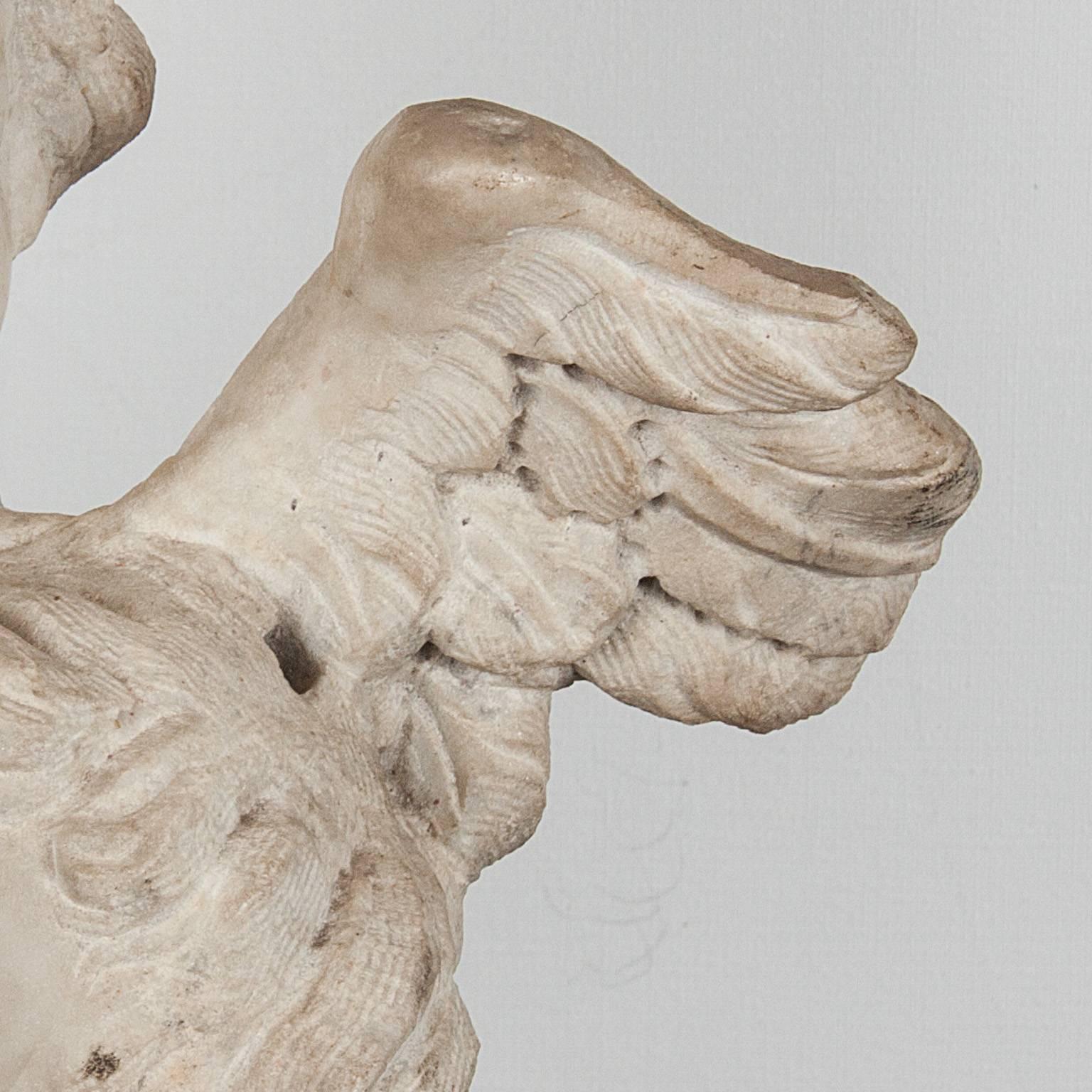 17th Century Italian Marble Head 3