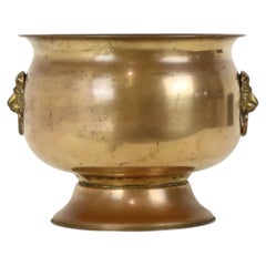 Antique Brass Jardinière Plant Pot with Lion Heads, Early 20th Century