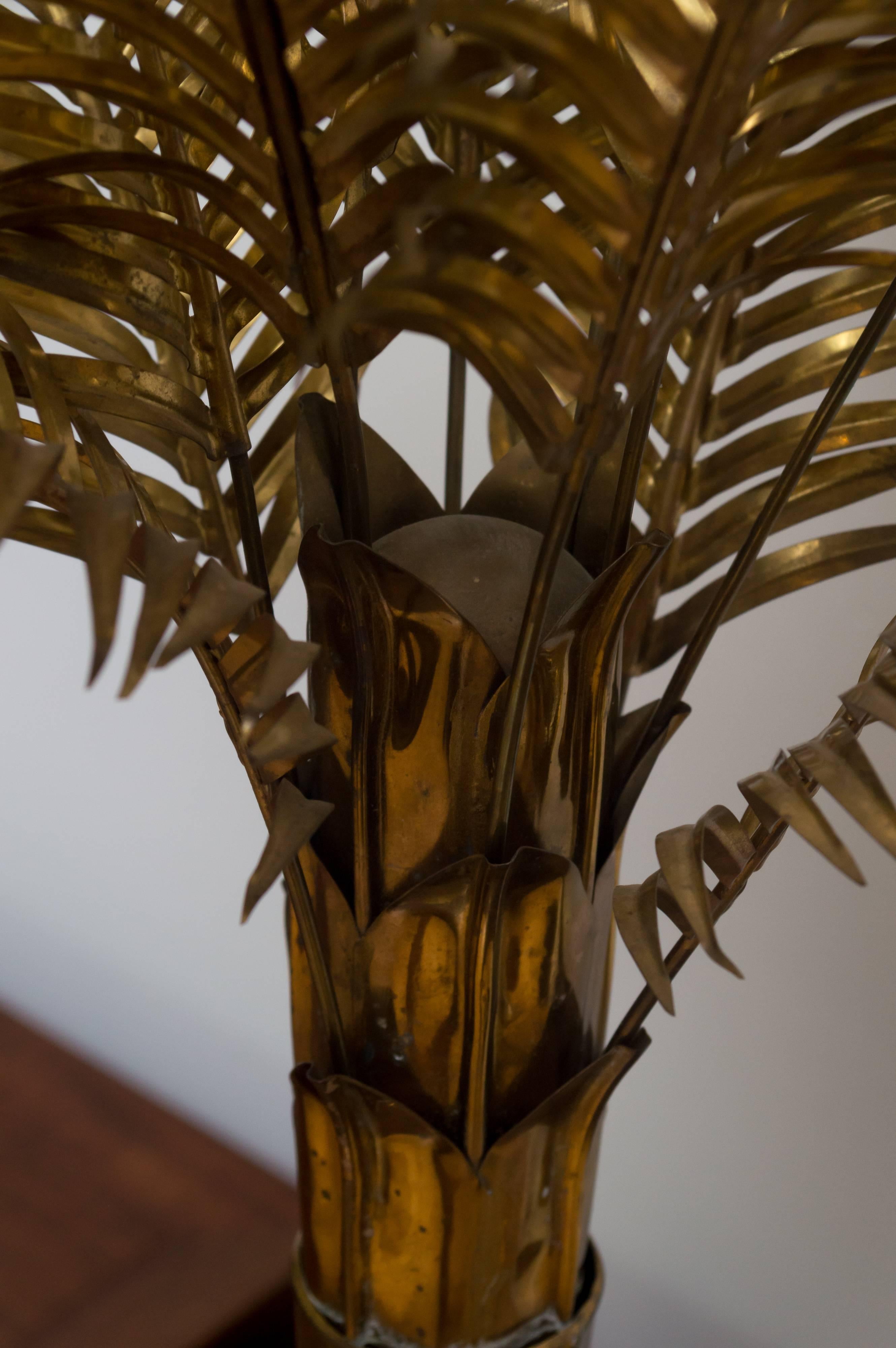 arthur palm