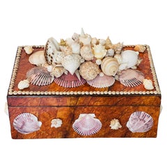 Humidor grande incrostato di conchiglie marine Faux Boi