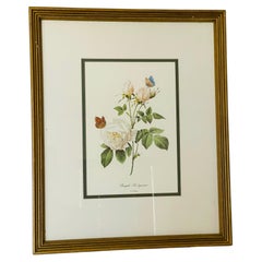 P.J.Redoute Cromolitografía de Rosas en Marco Dorado