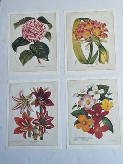 Set of 4 Vintage Botanical Prints Chromolithographs