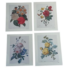 Set mit vier Chromolithografien von PF Tefoute: Botanische Blumenmotive