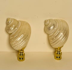 Pair Mother of Pearl Turbo Sea Shells Lamp Finials