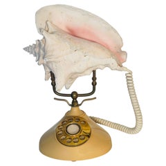 Art Sculpture Natural Specimen Conch Sea Shell on Antique Rotary Telephon