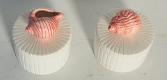 Pair Ceramic Sea Shell Cylinder Boxes
