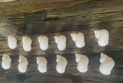 Dozen Coastal Turbo Sea Shells Napkin Rings Mother of Pearl