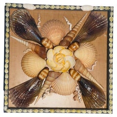 Natures Beauty Sea Shell Wall Plaque by Elia