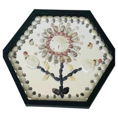 Sekstagonal Sea Shell Wall Plate Mirrored and Framed