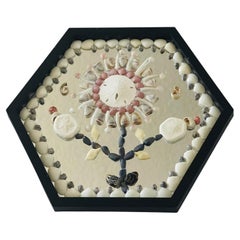 Sekstagonal Sea Shell Wall Plate Mirrored and Framed