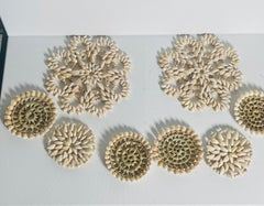 Lot de 8 dessous-de-plat et dessous de verre Sra Shell