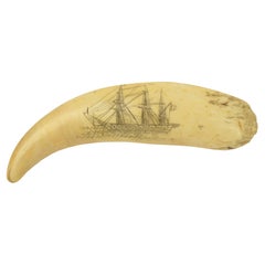 Sperm whale tooth scrimshaw engraved with a whaling ship at sea, 19th century