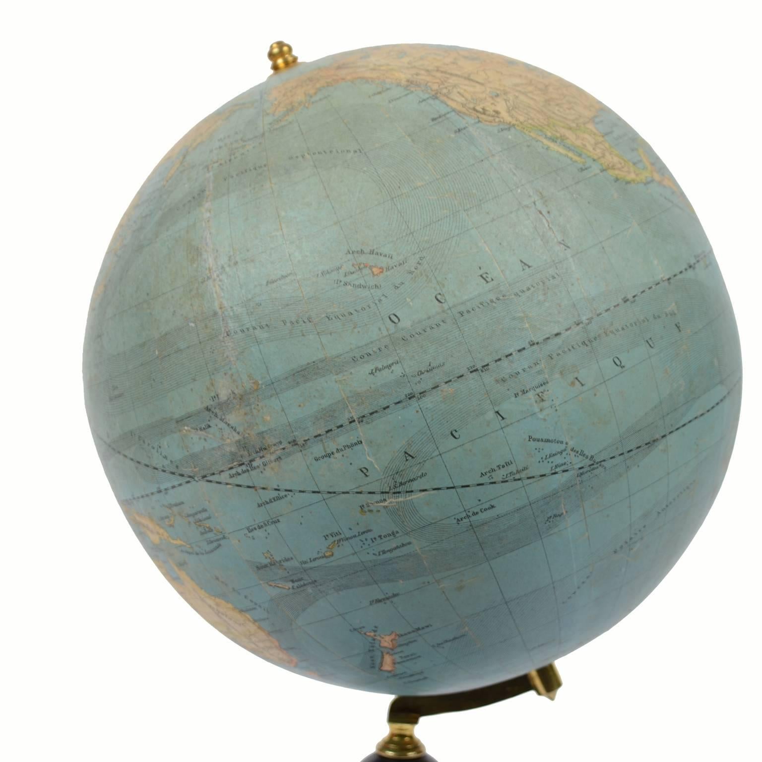 what is half of the terrestrial globe