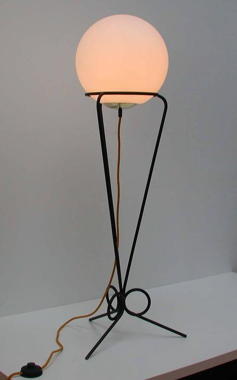 Macaw Lamp by Jean-FranÃ§ois Leroy main image 1