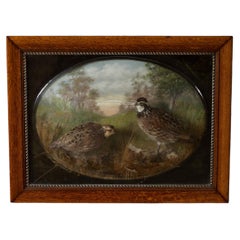 Early 20th Century Bubble Glass Diorama of Bobwhite Quail by Schwartz