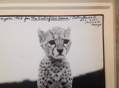 "Orphaned Cheetah Cubs" Peter Beard Gelatin Silver Print