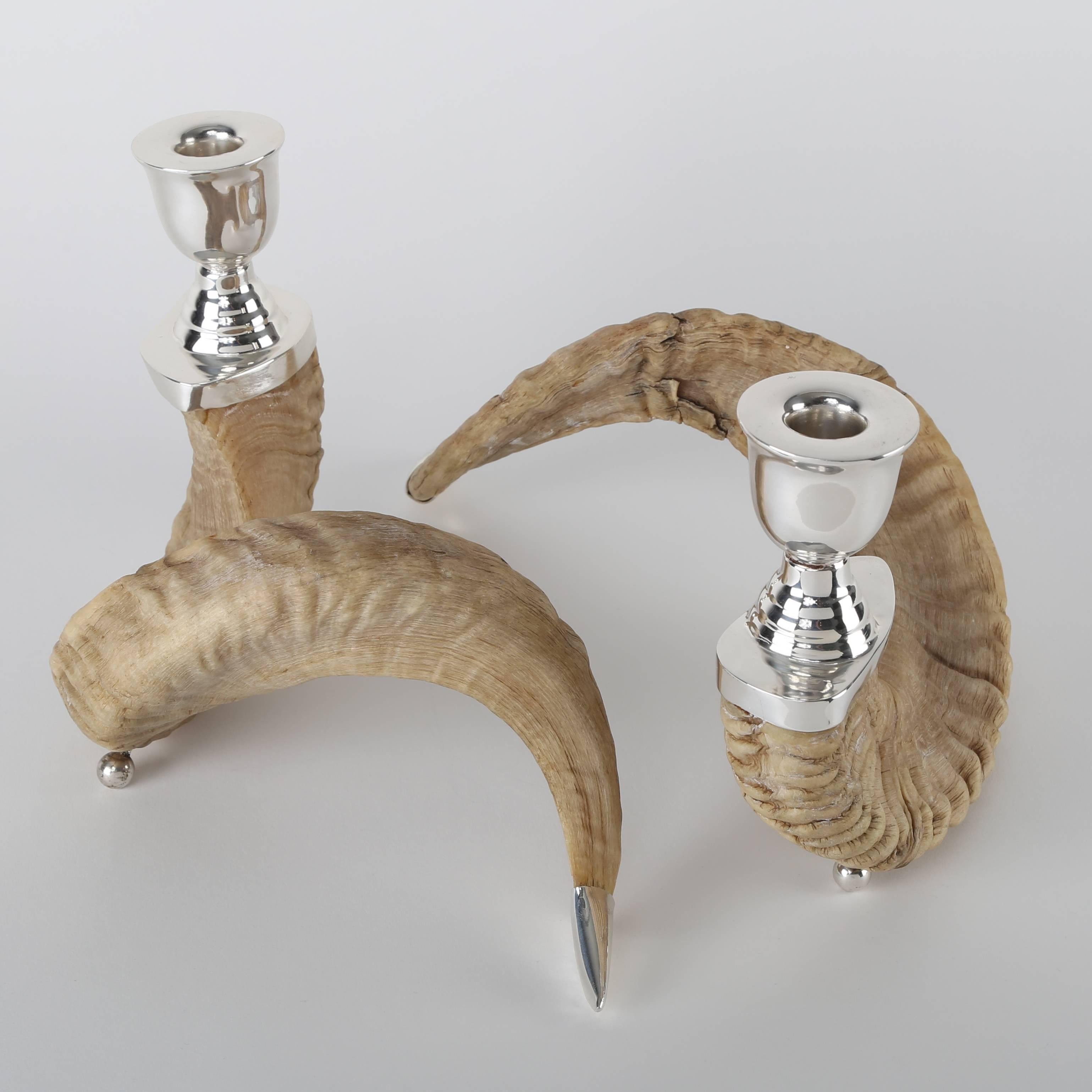 Late 20th Century Pair of Ram's Horn and Silver Candle Holders