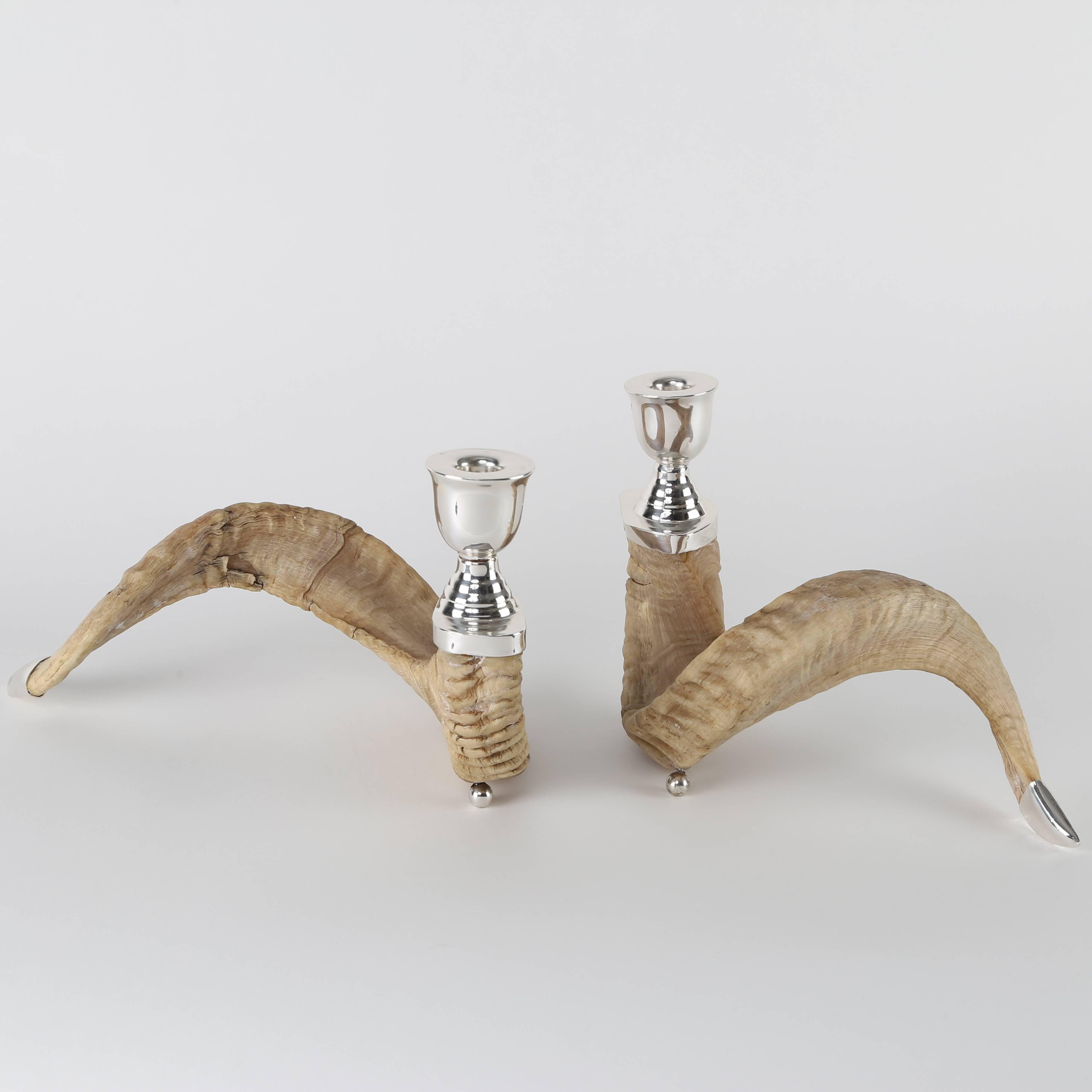 These beautifully curved ram's horns have been converted to candle holders, providing a compelling contrast between the polished-silver fittings and the natural rough texture of the horns. All fittings are newly silver plated. One holder is 11