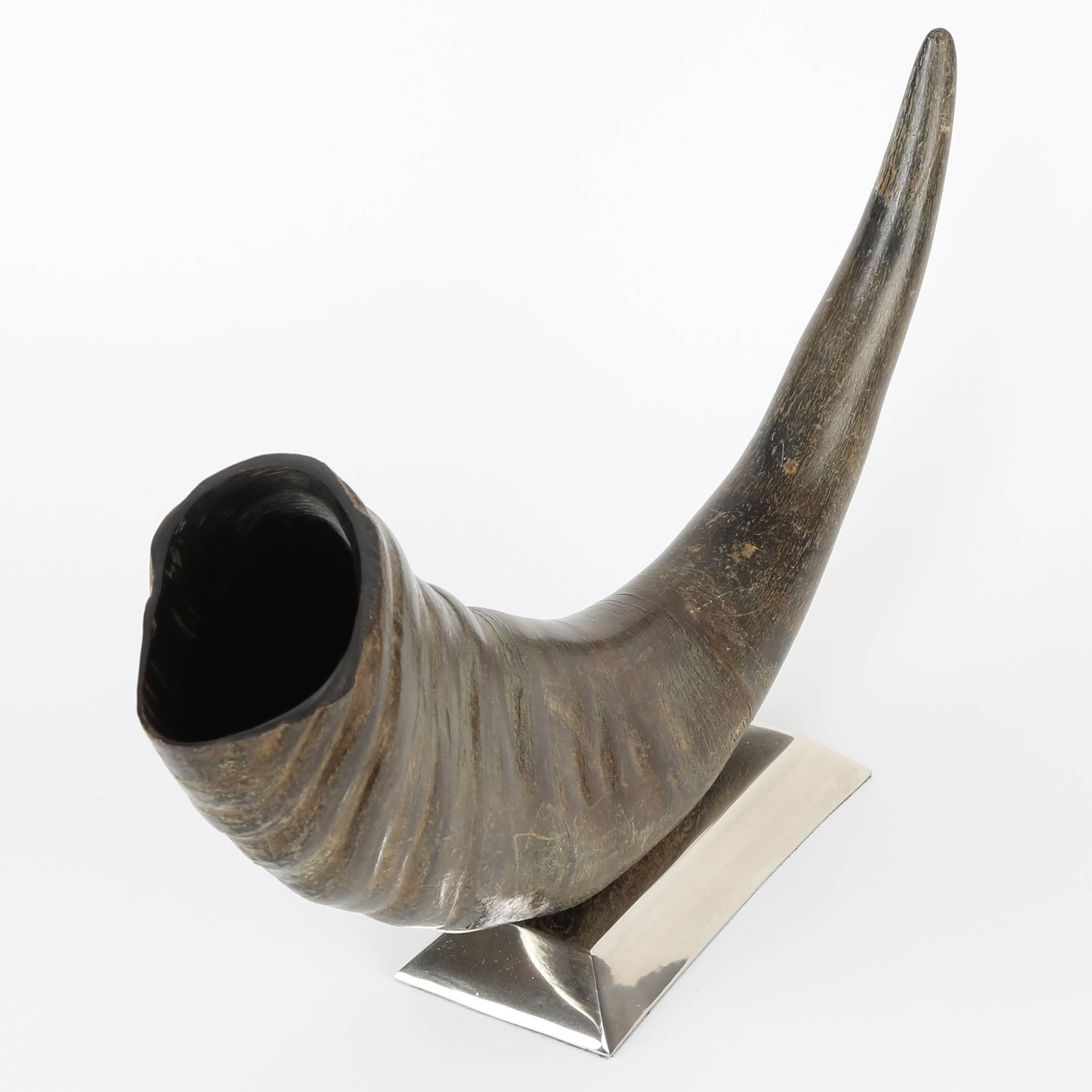 Sculptural Water Buffalo Horn Mounted on Stainless Steel Base In Good Condition For Sale In Brooklyn, NY