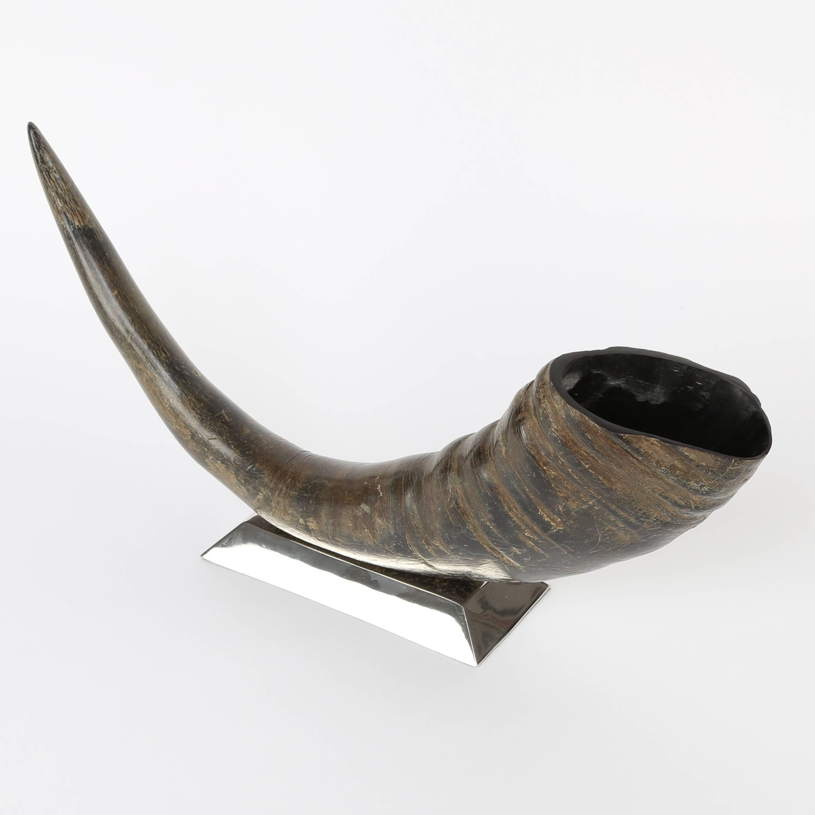 Sculptural Water Buffalo Horn Mounted on Stainless Steel Base For Sale 2