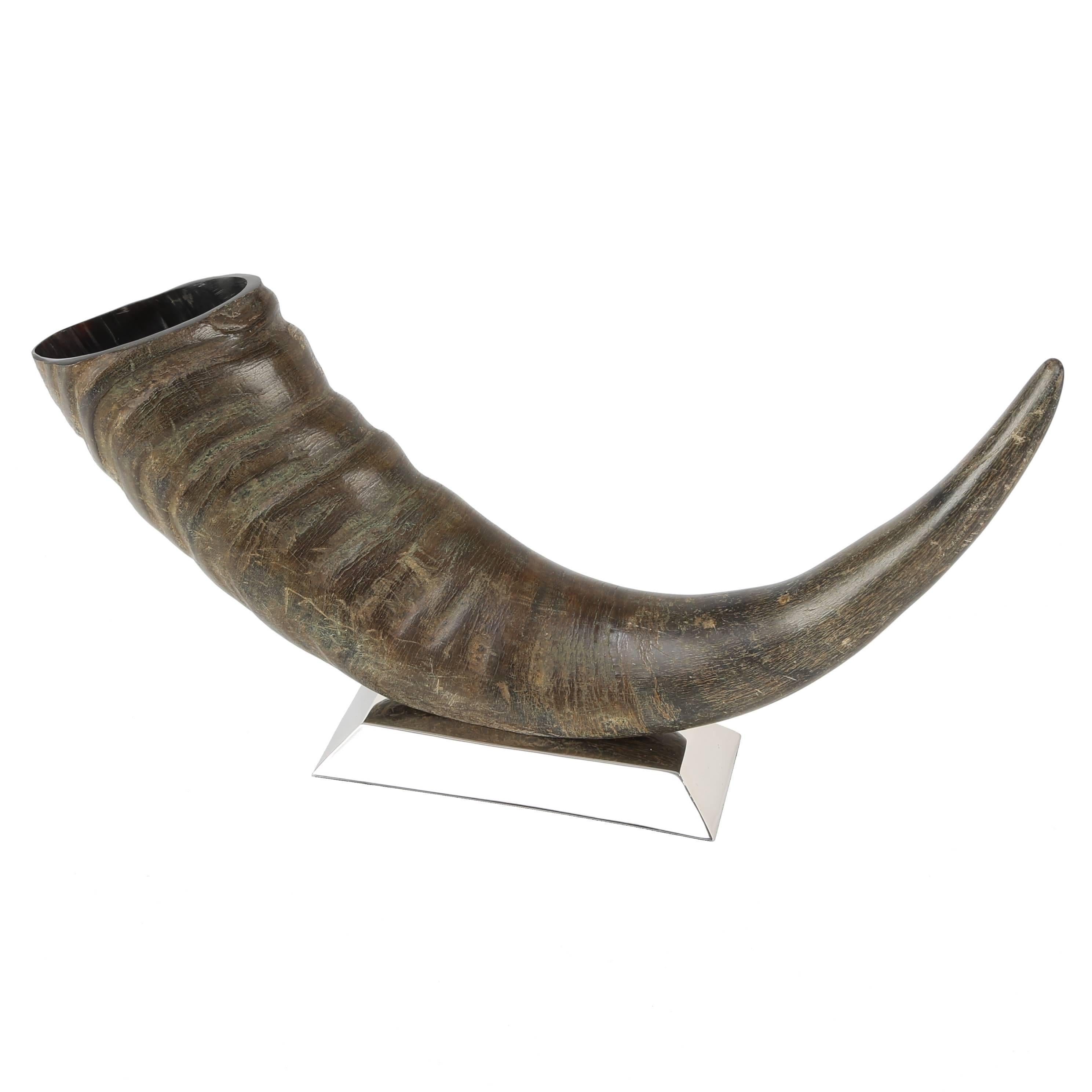 Sculptural Water Buffalo Horn Mounted on Stainless Steel Base For Sale
