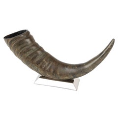 Sculptural Water Buffalo Horn Mounted on Stainless Steel Base