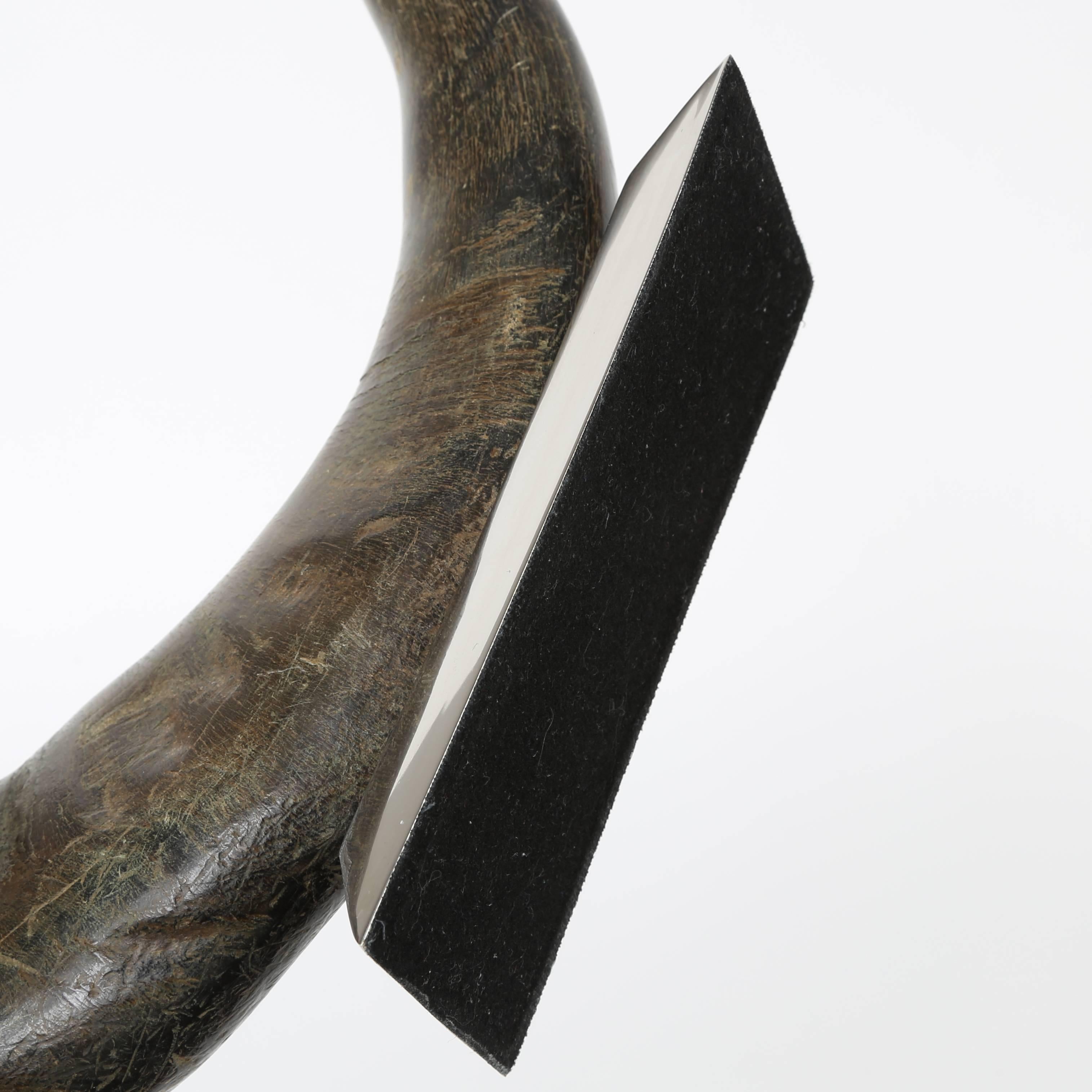 Sculptural Water Buffalo Horn Mounted on Stainless Steel Base For Sale 3