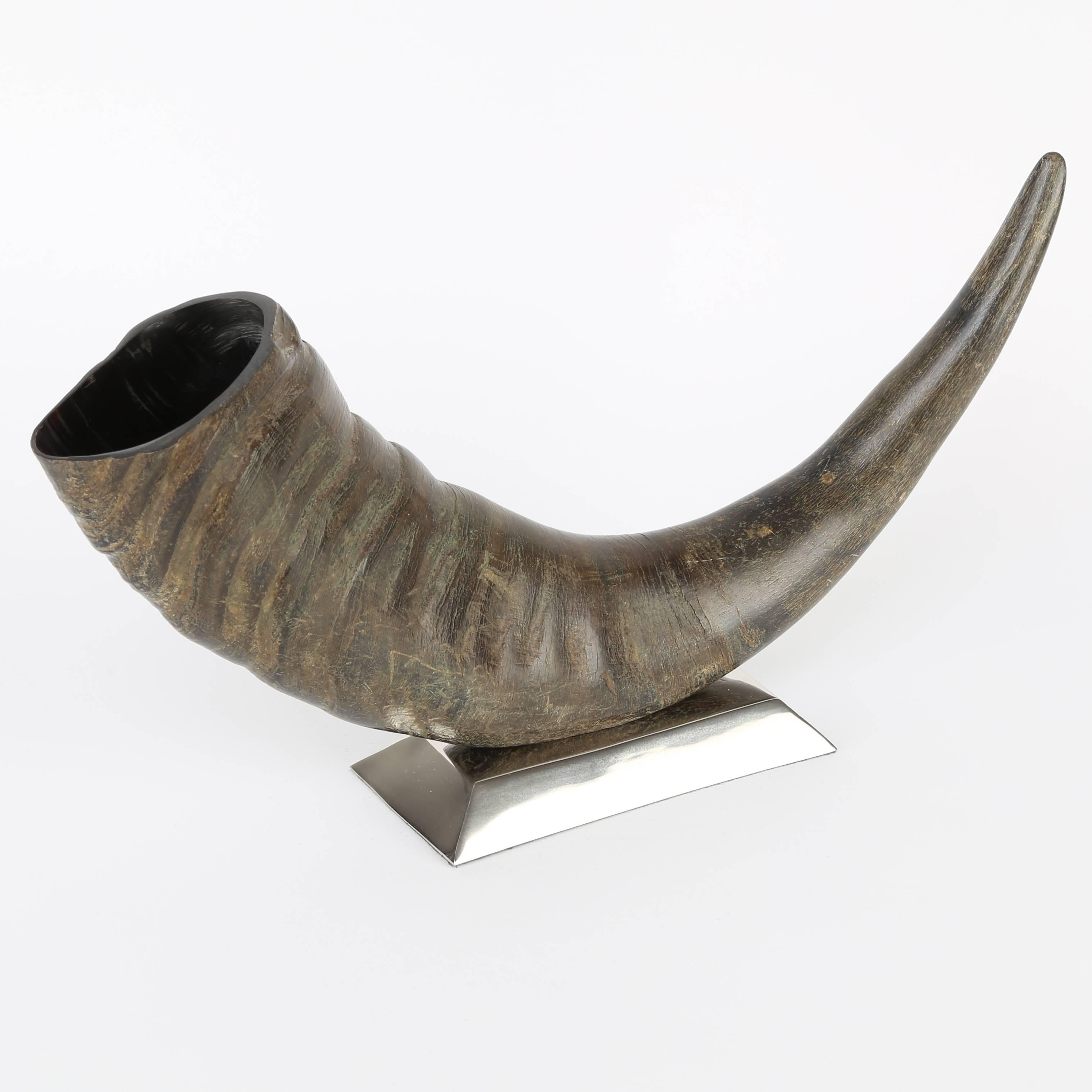 Unknown Sculptural Water Buffalo Horn Mounted on Stainless Steel Base For Sale