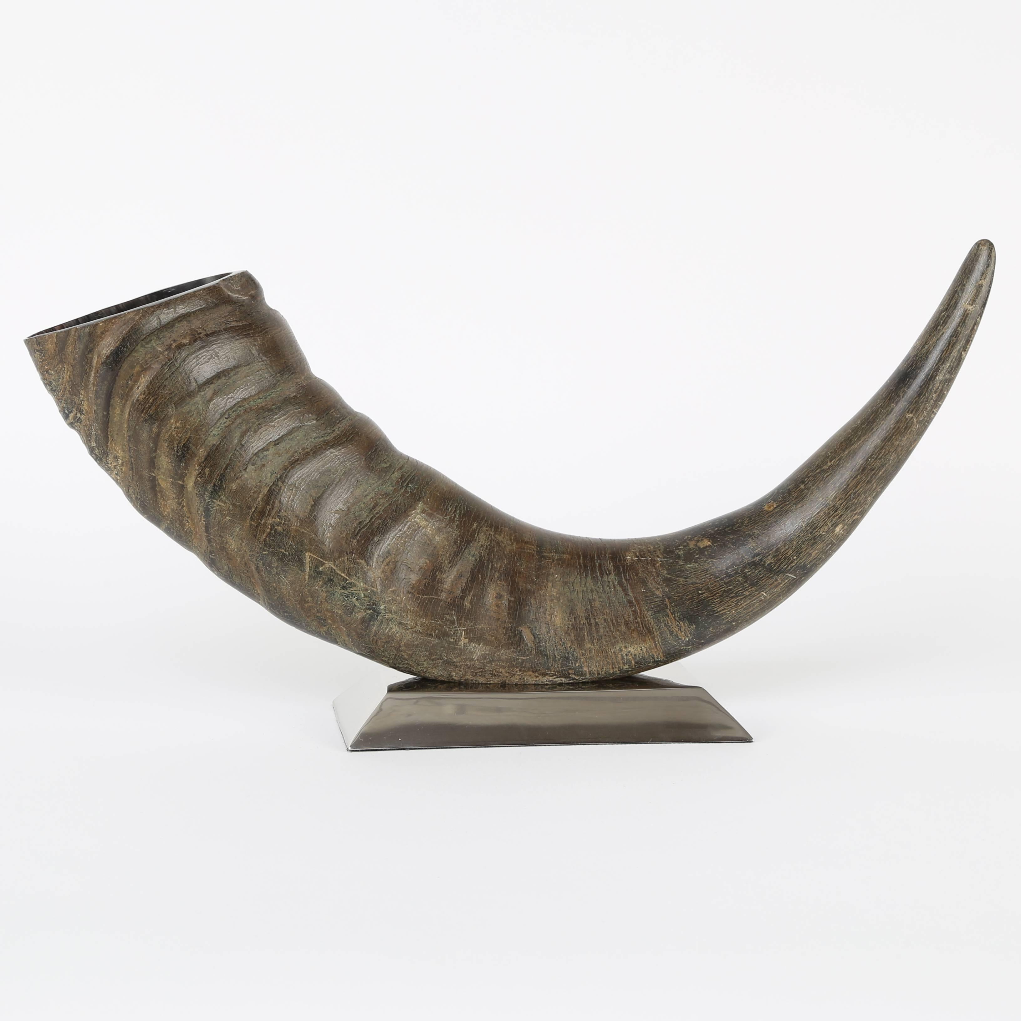 Decorative water buffalo horn mounted on a rectangular, tapered, slightly curved polished stainless steel base. We believe this is a domesticated swamp water buffalo from Southeast Asia, not a wild or endangered species. A great organic accent