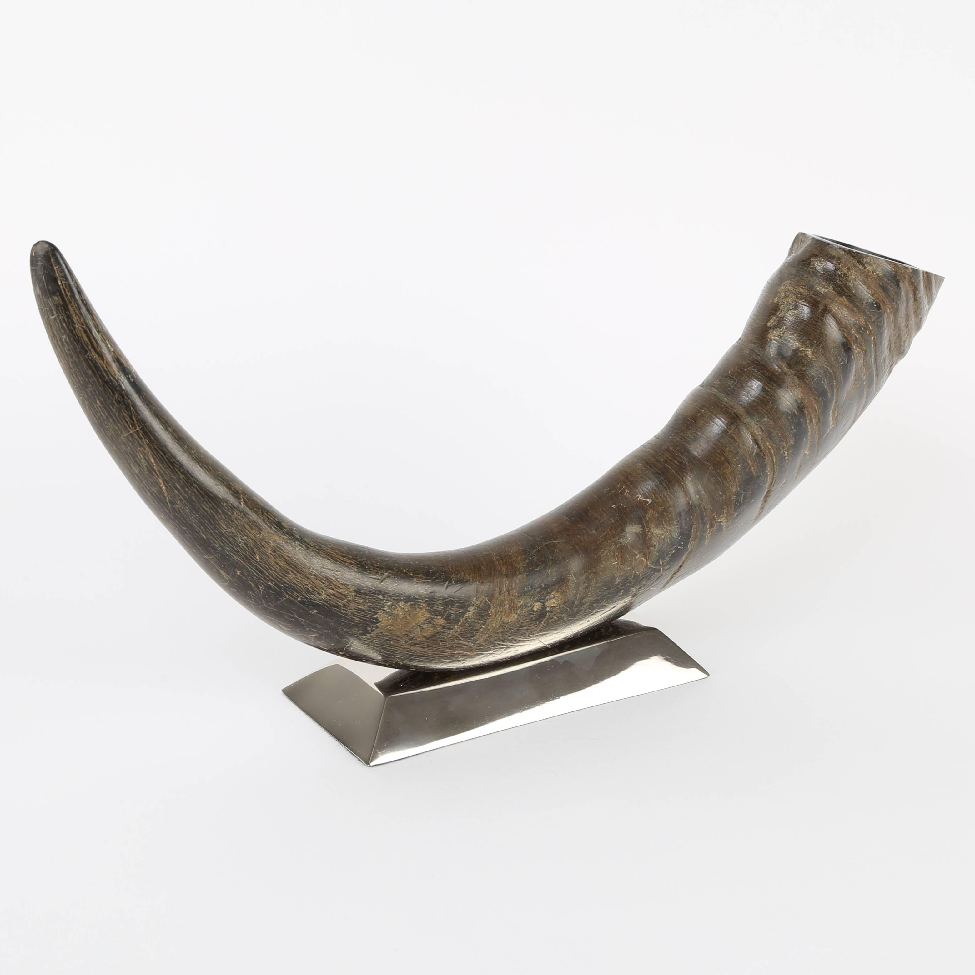 Late 20th Century Sculptural Water Buffalo Horn Mounted on Stainless Steel Base For Sale