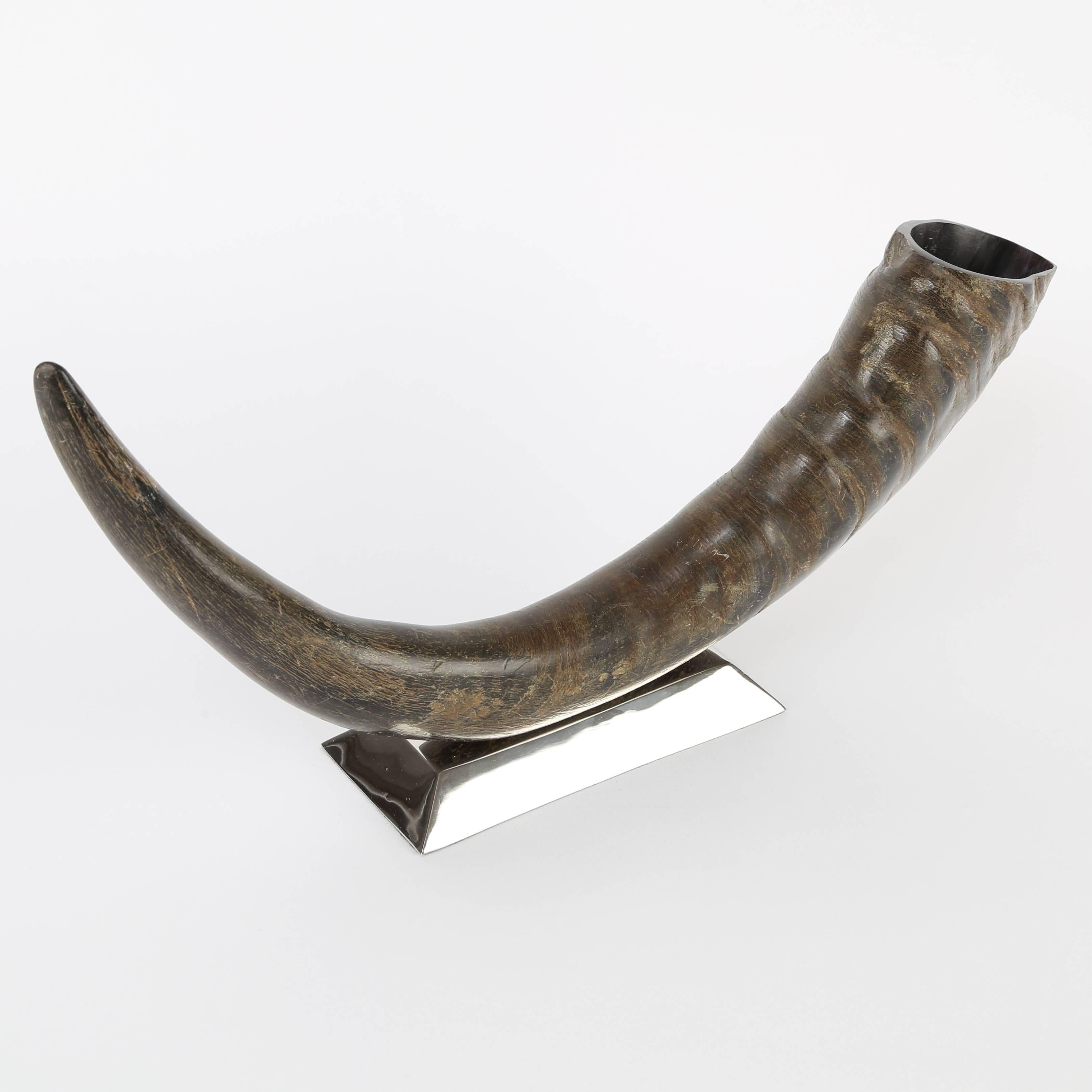 Sculptural Water Buffalo Horn Mounted on Stainless Steel Base For Sale 1