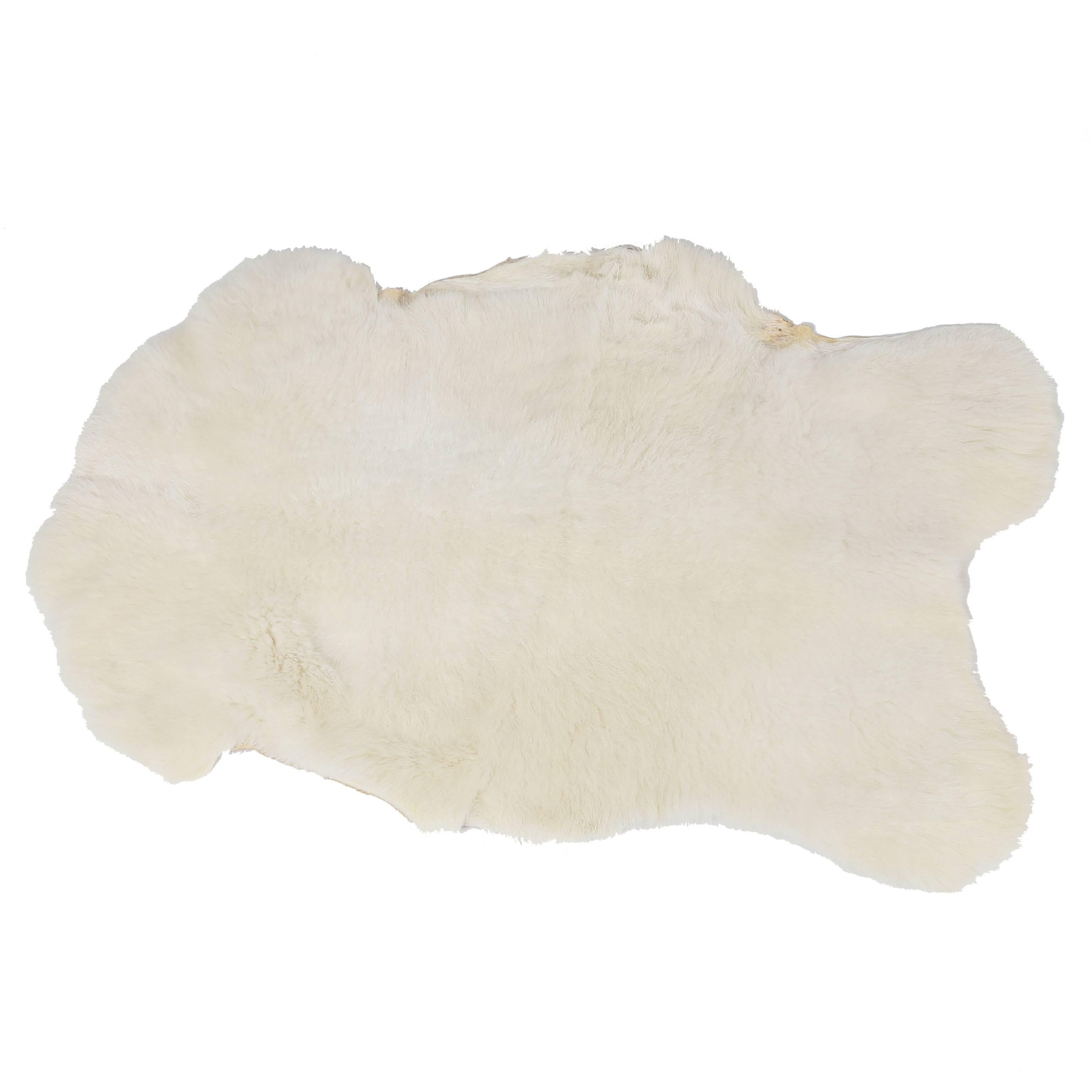 White Katahdin Hair Sheep Throw or Rug